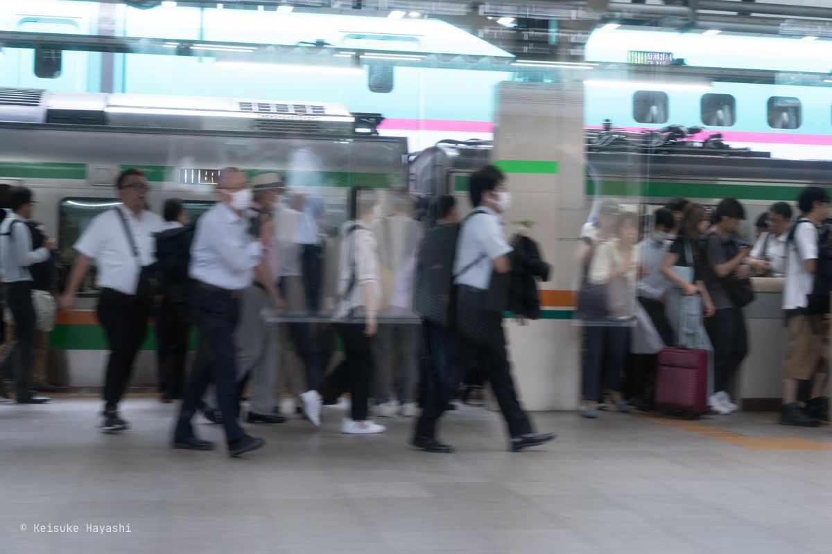 踊り子号の車窓からの風景