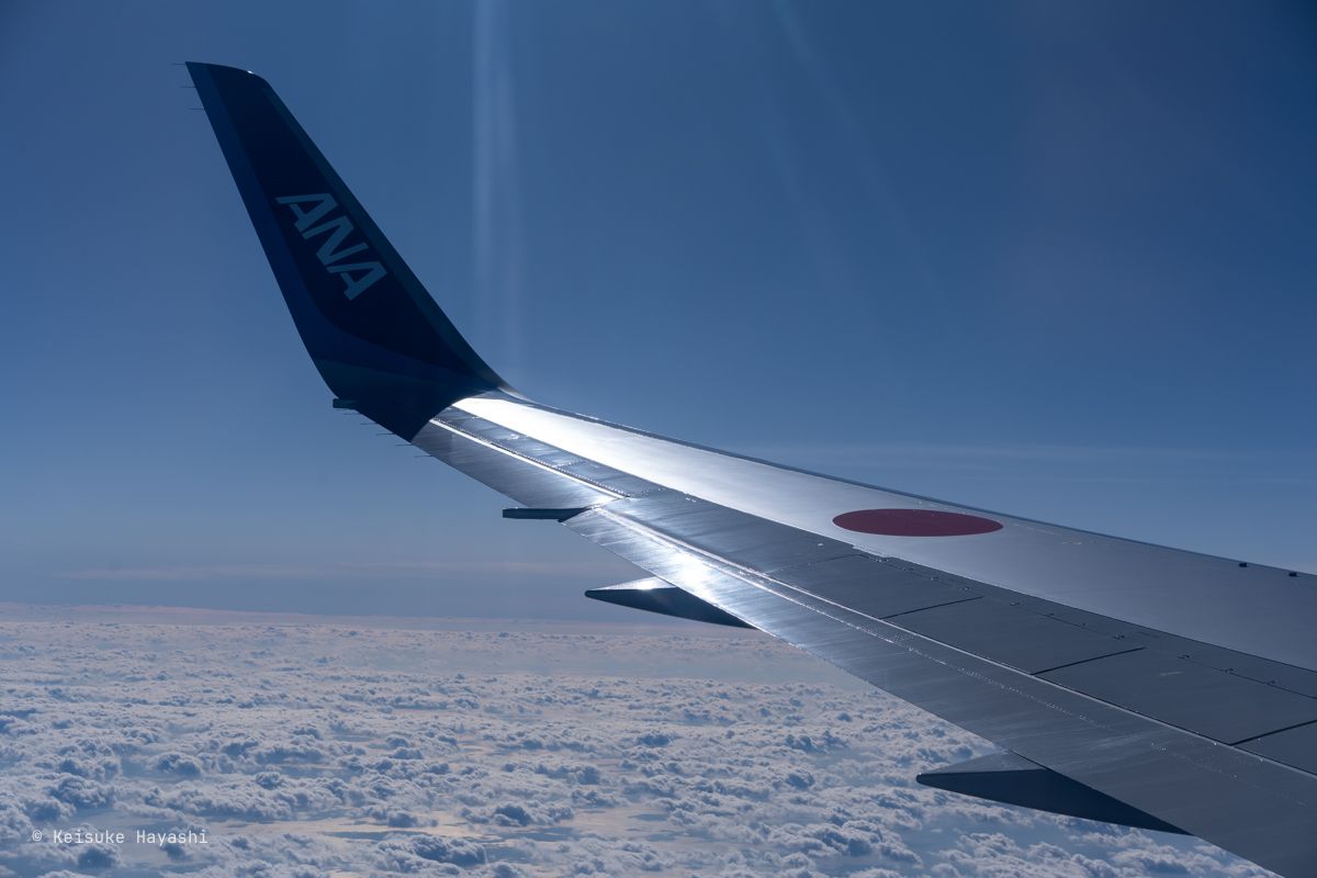 飛行機からの景色