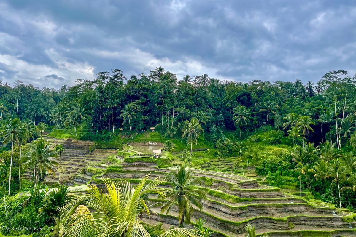 Carik Terrace Warung
