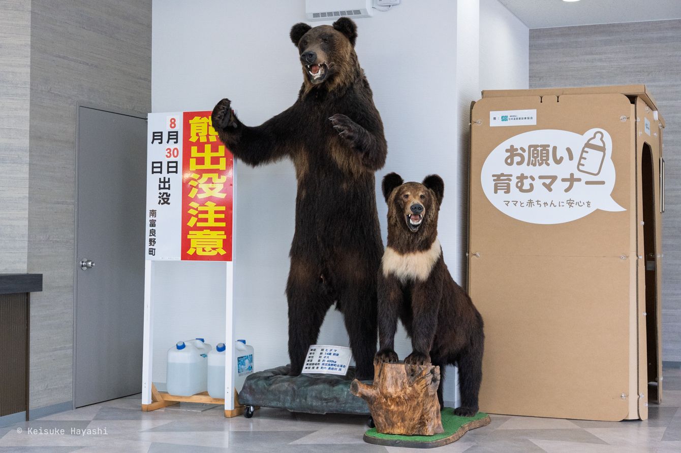 熊の剥製