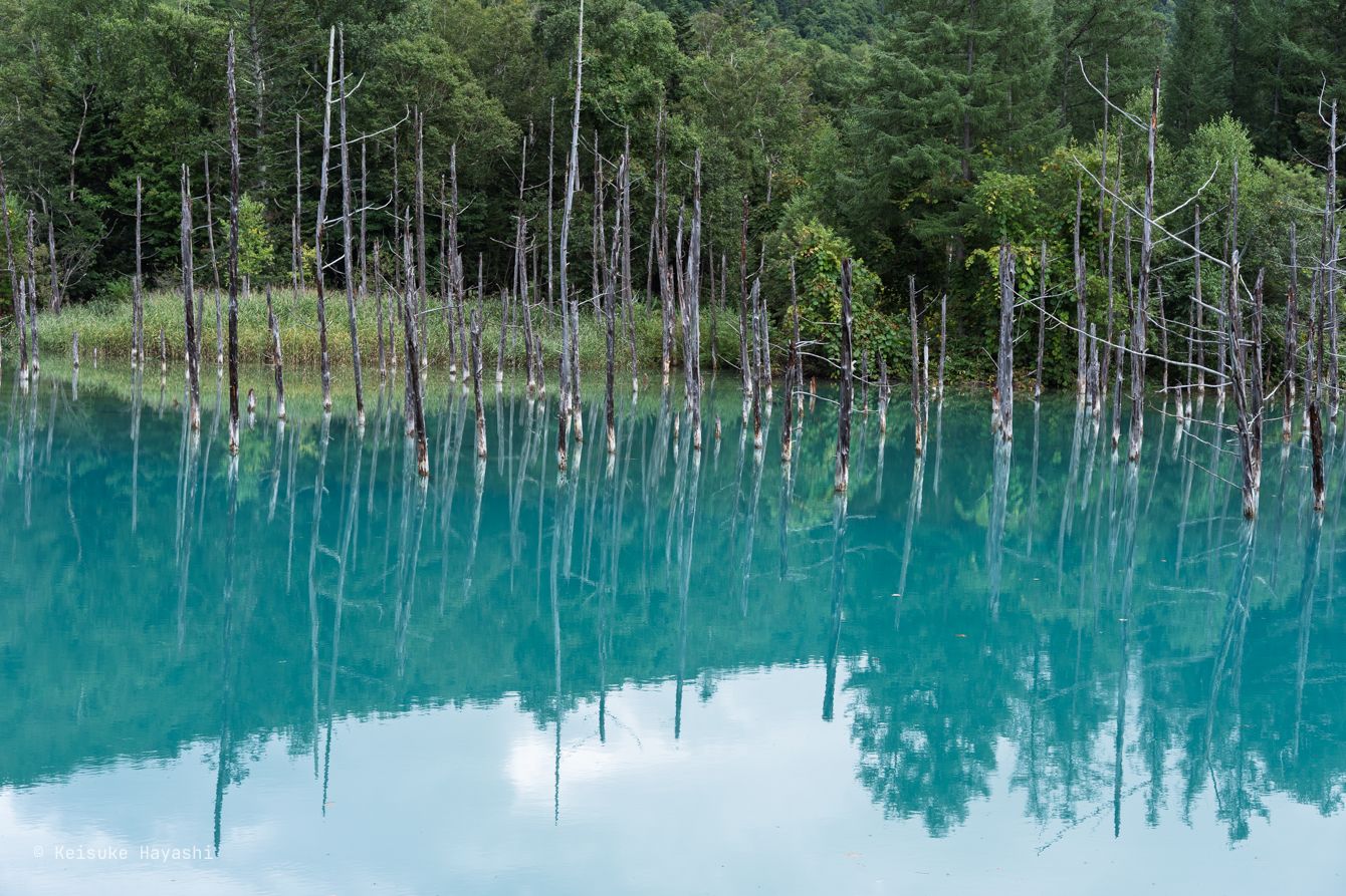 青い池
